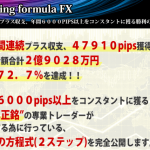 Winning formula FXは裁量が入ってナンボの商材