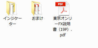東京オンリーFXの中身