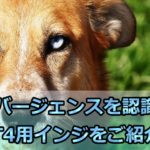 【無料】ダイバージェンスを認識するMT4用インジケーターを20個ご紹介!【最強】