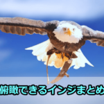 通貨の相関や通貨の強弱が分かるMT4インジケーターまとめ【全部無料】
