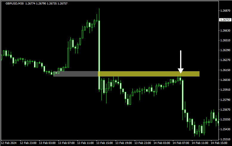 ユニコーンのショートエントリー3