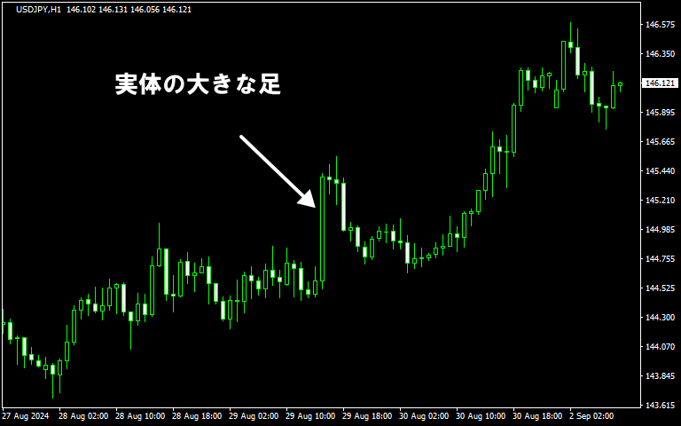 実体の大きな足のチャート