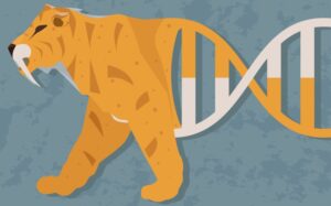 【2025年】正太郎がお勧めするFX検証ツール3選を徹底比較！